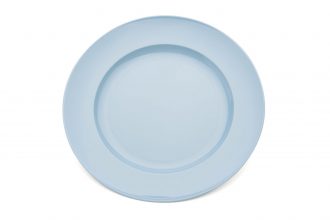 Large Wide Rimmed Dinner Plate