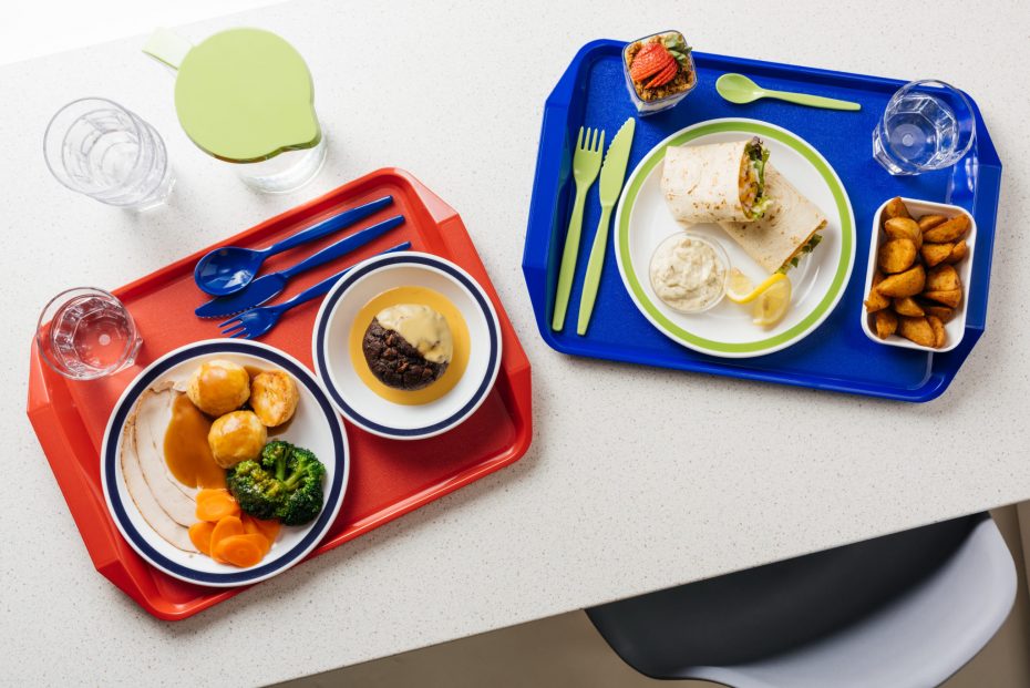 ABS Tray with Handle for School Lunches