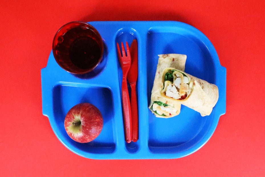 Small Blue Meal Tray with Wraps and Fruit
