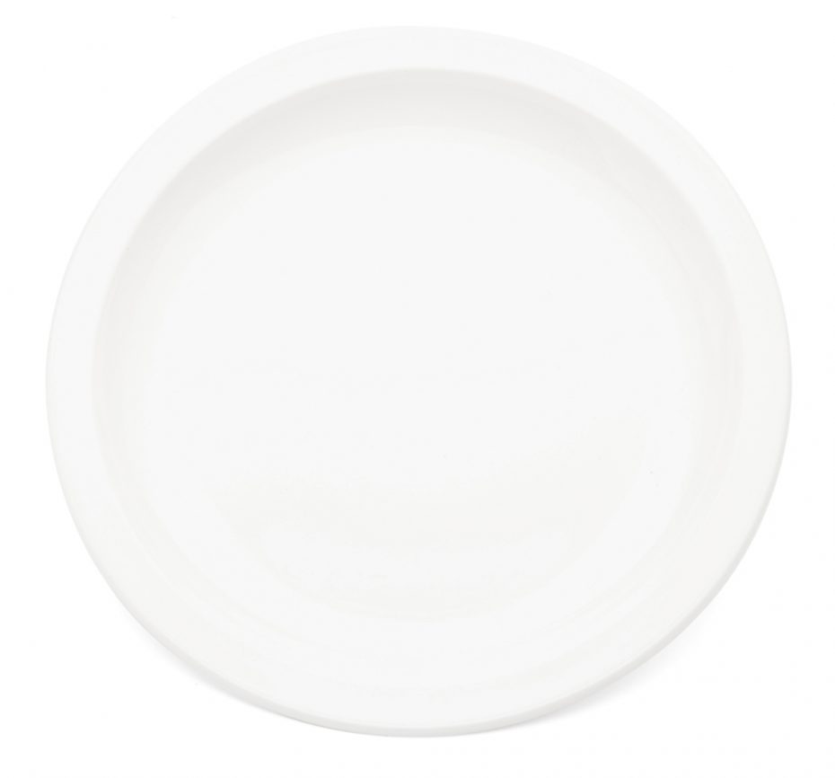 Large Antibacterial Plate