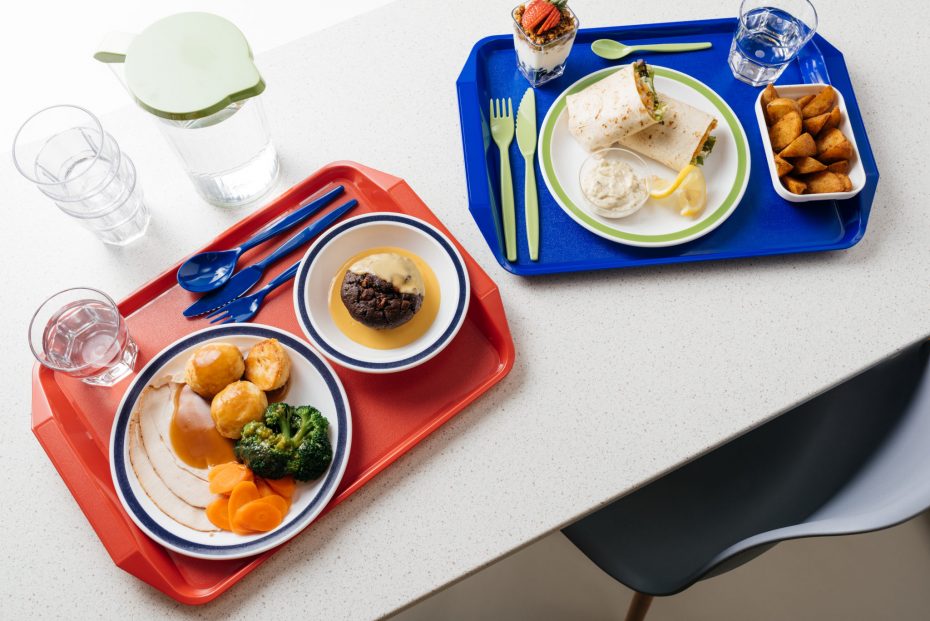 School Meal Trays with handle and dinner sets