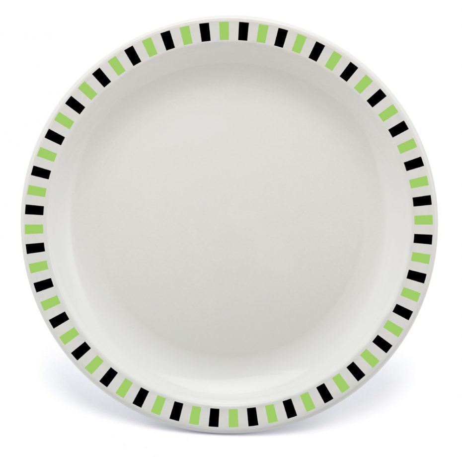 Lime and Black Stripe Patterned Duo Plate