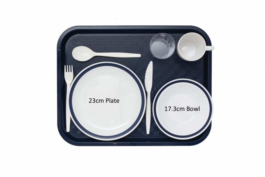 Large Polypropylene Serving Tray Layout