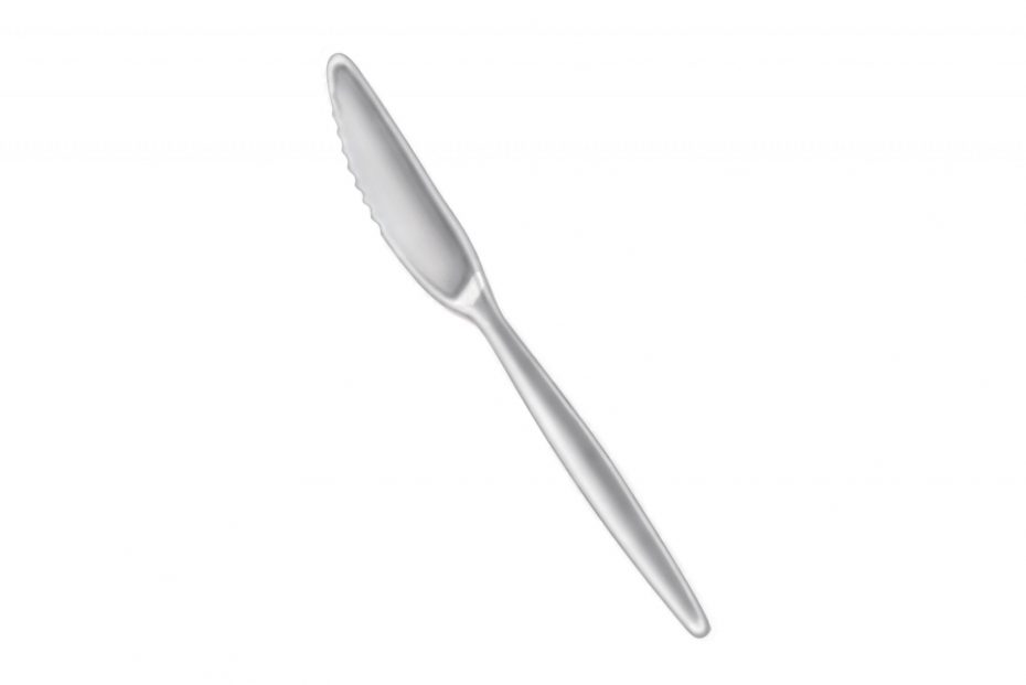 Silver Copolyester Knife