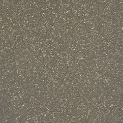 Timber Grey