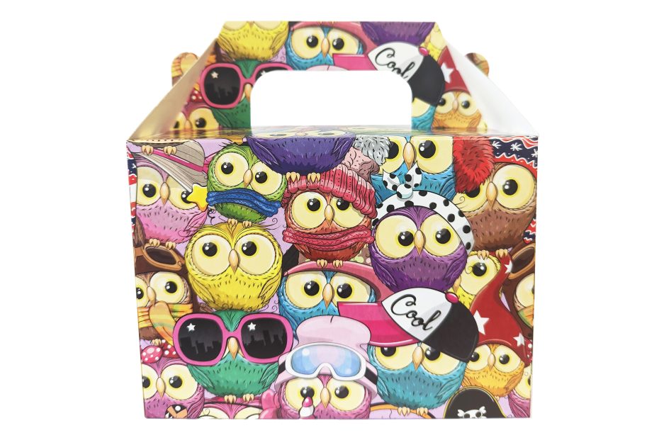 Kids Lunch Boxes Cute Owls