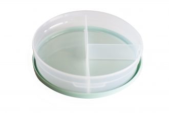 3 Compartment Dish with Mint Green Lid