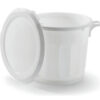 Food Bin with Lid