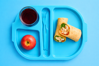 Pacific Blue Children's Meal Tray with Wraps and Apple